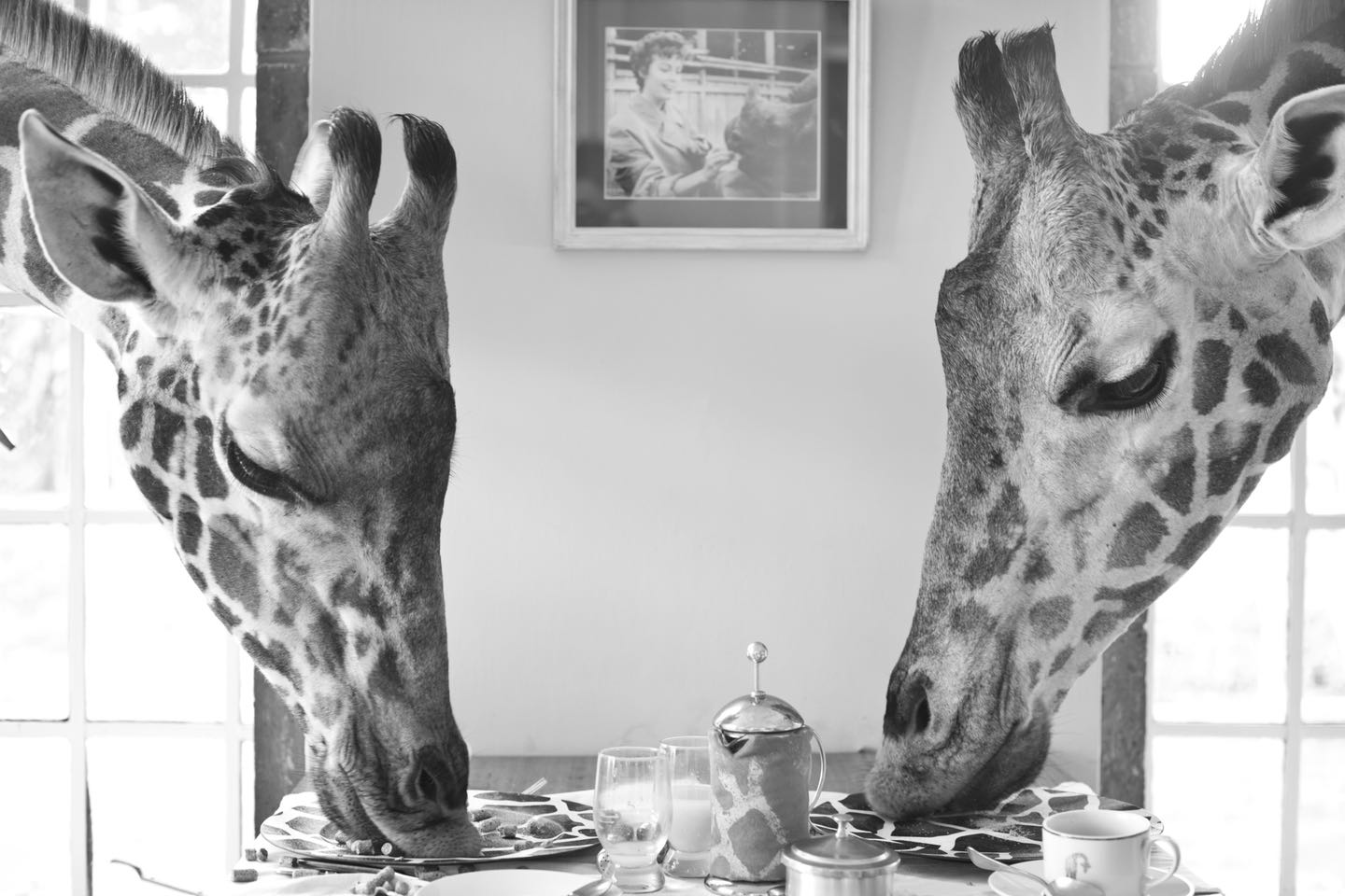 Giraffe_Manor_Nairobi13