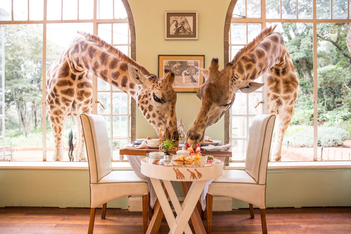 Giraffe_Manor_Nairobi16