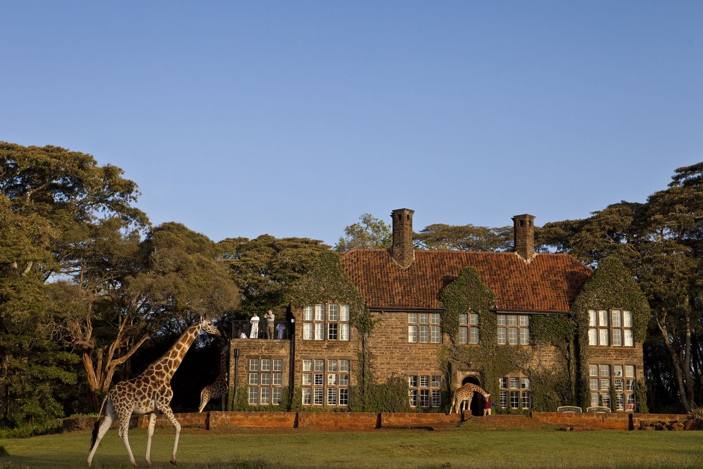 Giraffe_Manor_Nairobi18