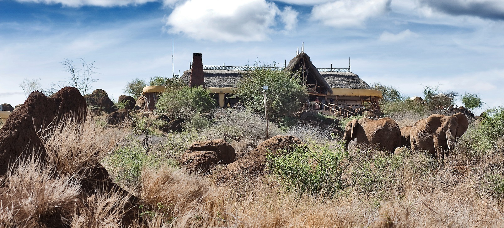 satao-elerai-hotel-kenya3