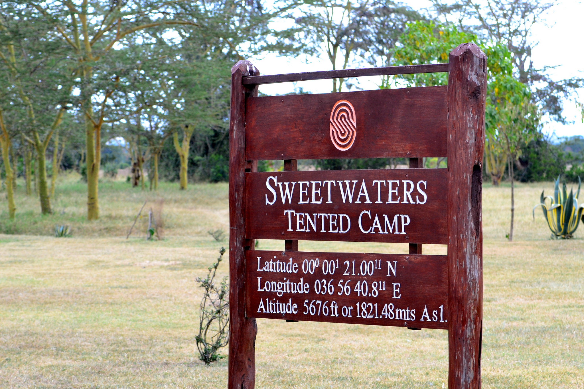 Serena-Sweetwaters-Camp9
