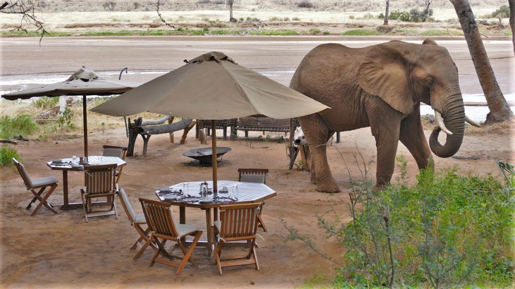 Elephant-Bedroom-Camp4 - Safaris in Kenya , Africa