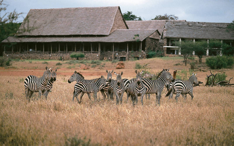 kilaguni-serena-safari-lodge