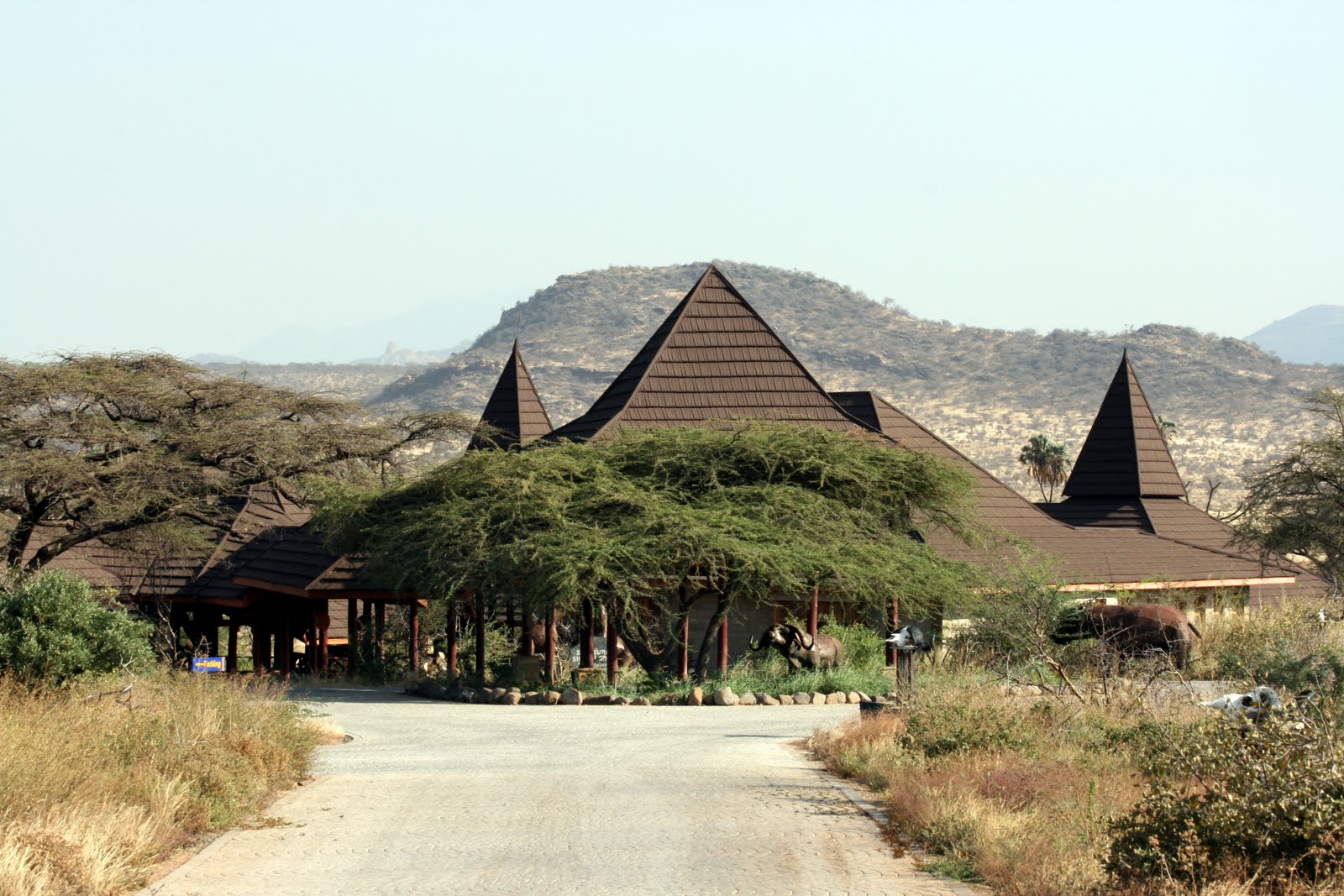 samburu-simba-camp2