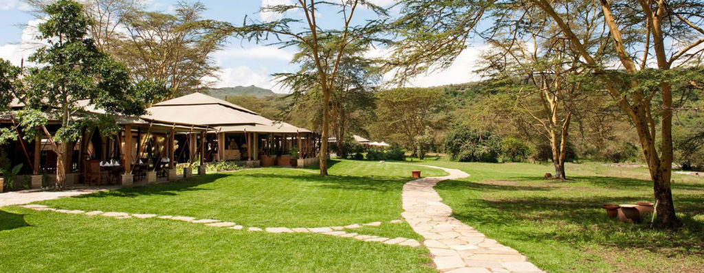 Lake-Elmenteita-Serena-Camp-23 - Safaris In Kenya , Africa