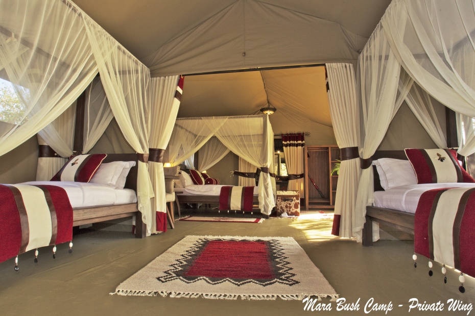 mara-bush-camp4