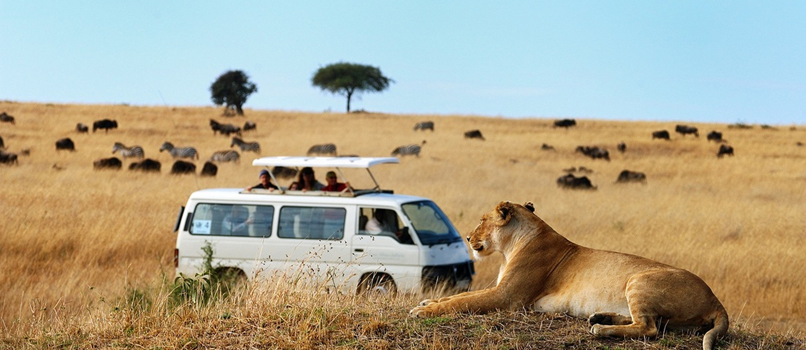 safari tour van